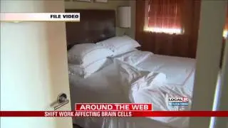 Study: Shift Work Affecting Brain Cells