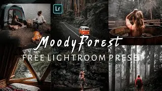 How To Edit Moody Forest Presets - Lightroom mobile presets free dng 2020