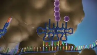 Microbiology 101: Cell Structure (Lecture 3 of 14)