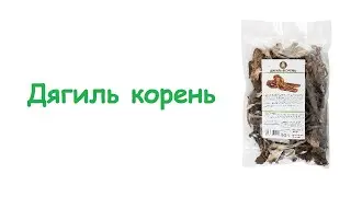 Дягиль корень / Травы Горного Крыма