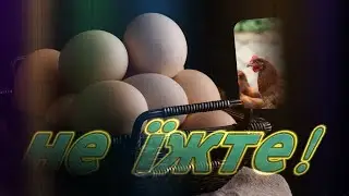Не їжте яйця -не подивившись це відео