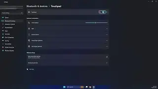 HOW TO FIX TOUCHPAD NOT WORKING IN WINDOWS 11