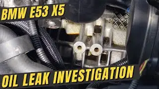 Oil Leak Investigation | E53 X5 M54 3.0i