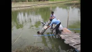 Lowering the Aerator