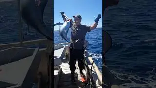 Albacore Tuna Fishing WHEN 2 USE A GAFF? #yakventures #albacore