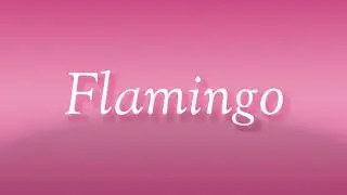 Flamingo facts