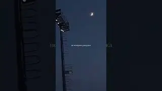 #rap