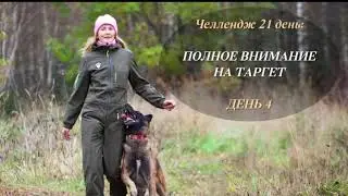 Челлендж «Полное внимание на таргете». День 4-й
