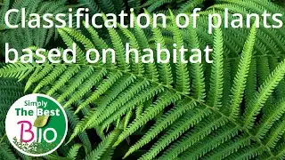 Classification of plants based on habitat. By Simply The Best BIO