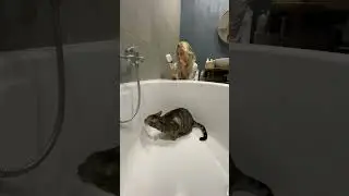 ну а в моём инст madam_dian больше этого бенгала👊🏼