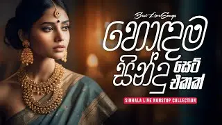 හොඳම සිංදු සෙට් එකක් 🤎 | Sinhala live Nonstop Collection 2024 | @Musichitzlk