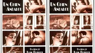 СТОП ДВИЖЕНИЕ - Un chien andalou / Андалузский пёс