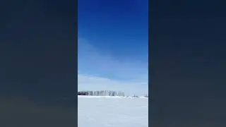 27 февраля 2024 г.