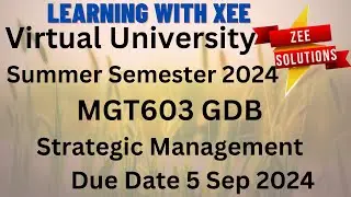 MGT603 Strategic Management GDB Summer 2024 Virtual University of Pakistan