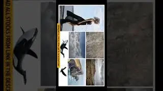 Big Whale - GIMP Manipulation Tutorial | Photoshop editing in GIMP | Codingcreator 