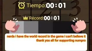 I get the world record in this game (numpuz)😨