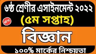 Class 6 science assignment answer 5th week | Class 6 assignment solution | Class 6 assignment
