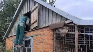 Купила усадьбу на юге. Старый чердак, а что там?