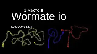 Wormate.io, набрал больше 5.000.000 очков? попал в топ 1?