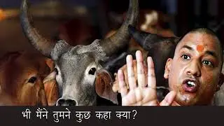 एक बैल का दर्द कहानी के माध्यम सुने जरूर जय गौमाता