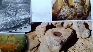 Брошюра заповедник Каменная могила