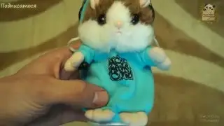 Хомяк репер ⁄ говорящий хомяк репер