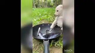 #wow
