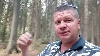 Как тренировать мозг.(2 мозга) #психология
