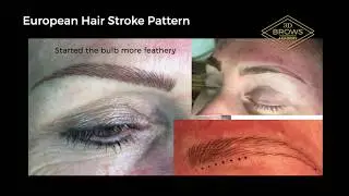 3D Brows Tips & Tricks microblading hair patterns