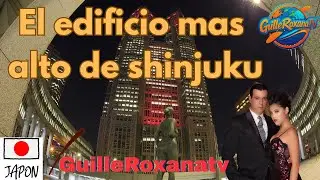 Impressive! This is what Tokyo looks like from the top of the Shinjuku Government Building.