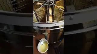 Откачиваем липовый мед, 7 июля 24 года, медогонка - ФАНТАСТИКА от Томас Люсон!