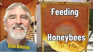 Beekeeping Segment | Feeding Bees WITH Bob Binnie