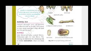 What is Sericulture | From where we get silk | Silk Culture | what is silkmoth | what is cocoon