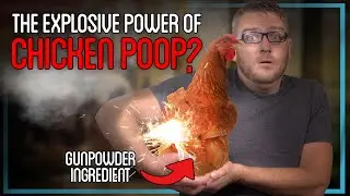 Why I Spent 3 Days Boiling Chicken Poop