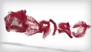 מדריך וורדפרס - איך להילחם בספאם בוורדפרס
