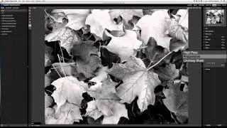 Perfect B&W - Sharpening Your Image