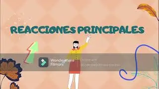 Aminoacidos