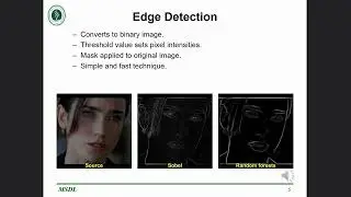 Removing Backgrounds of Pictures Using Python and OpenCV