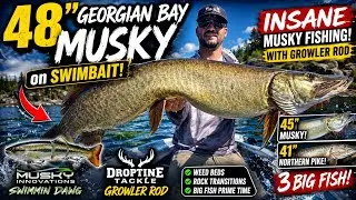 Ultimate Guide to Georgian Bay Musky Fishing: Tips, Techniques, and Best Spots