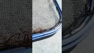 Жуткое существо в бассейне