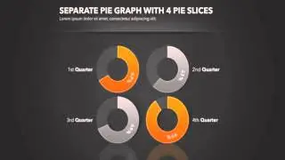 Statistics After Effects Template