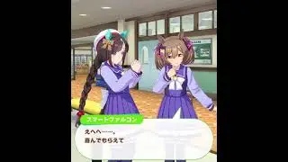 【ウマ娘】ホッコータルマエの誕生日2