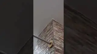 15 августа 2024 г.