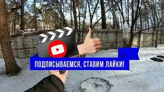 23 февраля. Городской парк. Подкормили пернатых...Хочу пожелать всем- 