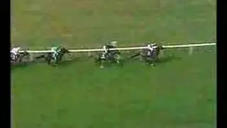Giants Causeway- 2000 Juddmonte International Stakes