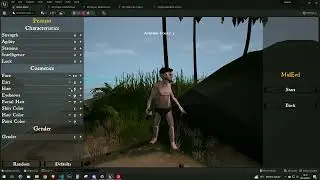 Character Customization
