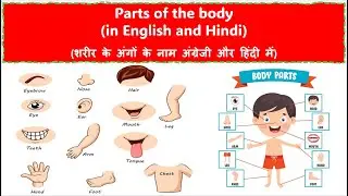 50+ Parts of body name | parts of body name with pictures | parts of the Body |