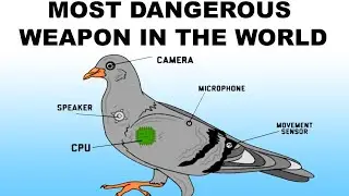 These memes are why I pay for the internet