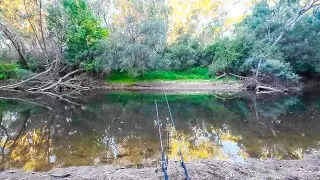 Where The Water's Clear And The Carp Are Pretty...