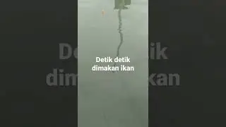 mancing pinggiran pantai#fishing